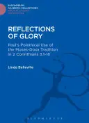 Odrazy slávy - Reflections of Glory
