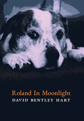 Roland v měsíčním světle - Roland in Moonlight