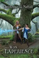 Pracovní zkušenosti - Work Experience