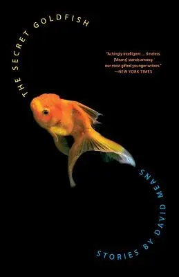 Tajemství zlaté rybky: Příběhy - The Secret Goldfish: Stories