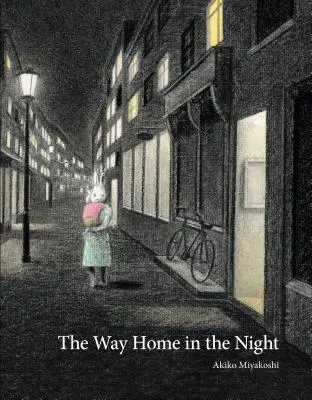 Cesta domů v noci - The Way Home in the Night