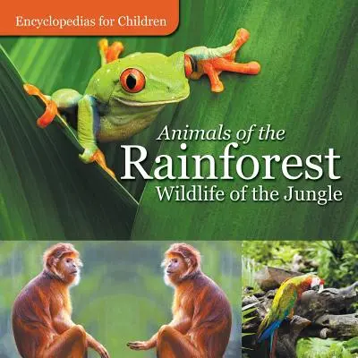 Zvířata deštného pralesa - Divoká příroda džungle - Encyklopedie pro děti - Animals of the Rainforest - Wildlife of the Jungle - Encyclopedias for Children