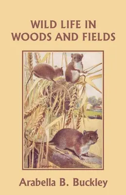 Divoká příroda v lesích a na polích (Včerejší klasika) - Wild Life in Woods and Fields (Yesterday's Classics)