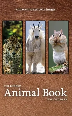 Burgessova kniha o zvířatech s novými barevnými obrázky - The Burgess Animal Book with new color images