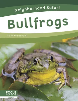 Býčí žáby - Bullfrogs