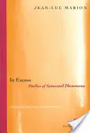 V nadbytku: Studie o nasycených jevech - In Excess: Studies of Saturated Phenomena