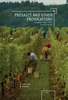 Prozaické a jiné provokace: Empatie, otevřený čas a román - Prosaics and Other Provocations: Empathy, Open Time, and the Novel