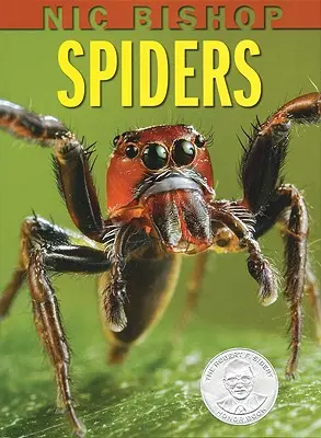 Nic Bishop: Bishop: Pavouci - Nic Bishop: Spiders