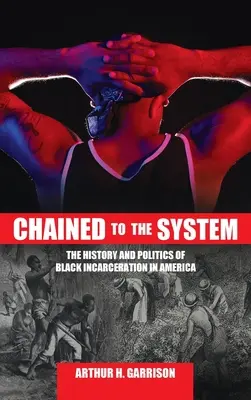 Připoután k systému: Dějiny a politika uvězňování černochů v Americe - Chained to the System: The History and Politics of Black Incarceration in America