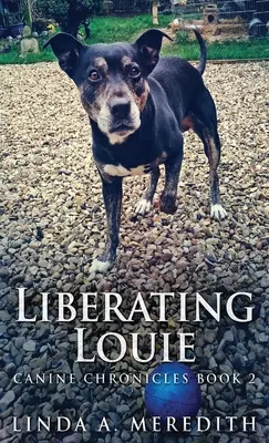 Osvobození Louieho: Cesta do Rutlandu - Liberating Louie: The Road To Rutland