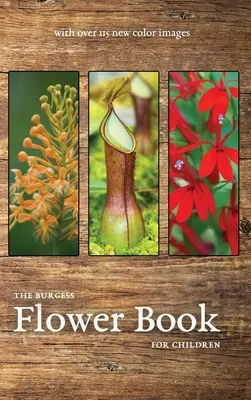 Burgessova kniha o květinách s novými barevnými obrázky - The Burgess Flower Book with new color images
