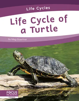 Životní cyklus želvy - Life Cycle of a Turtle