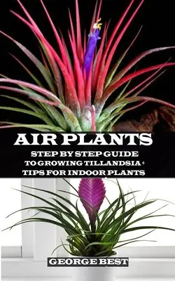 Vzdušné rostliny: Průvodce krok za krokem k pěstování tilandsie + tipy pro pokojové rostliny - Air Plant: Step by Step Guide to Growing Tillandsia + Tips for Indoor Plants