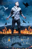 Gabriel: Kniha 2 ságy o Styclarovi - Gabriel: Book 2 of the Styclar Saga
