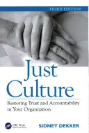 Spravedlivá kultura: Obnovení důvěry a odpovědnosti ve vaší organizaci, třetí vydání - Just Culture: Restoring Trust and Accountability in Your Organization, Third Edition