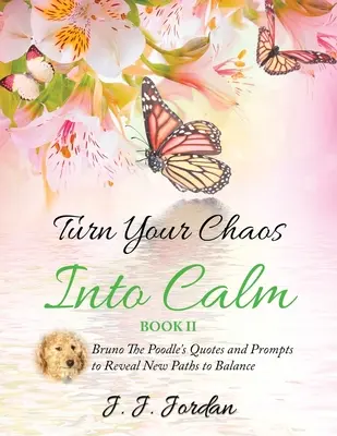 Proměňte svůj chaos v klid - Turn Your Chaos Into Calm