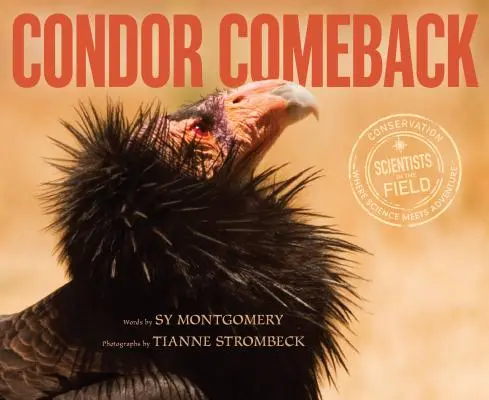 Návrat kondora - Condor Comeback