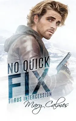 Žádné rychlé řešení: Torus Intercession Book One - No Quick Fix: Torus Intercession Book One