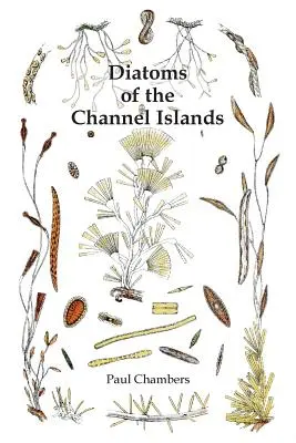 Diatomy Normanských ostrovů - Diatoms of the Channel Islands