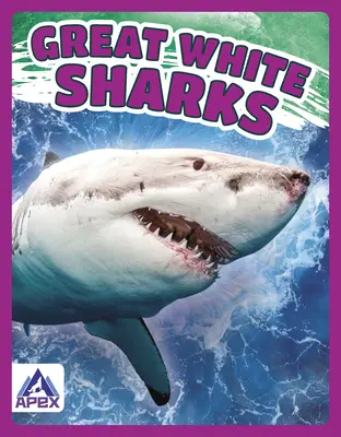 Velcí bílí žraloci - Great White Sharks