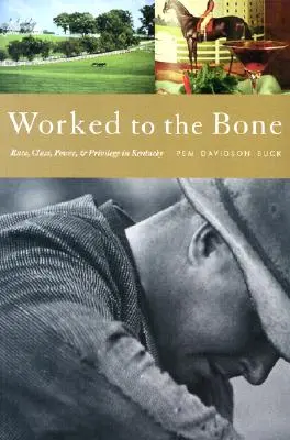 Zpracováno na kost: Dějiny rasy, třídy, moci a privilegií v Kentucky - Worked to the Bone: A History of Race, Class, Power, and Privilege in Kentucky