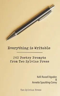 Všechno se dá napsat: 240 básnických podnětů z nakladatelství Two Sylvias Press - Everything is Writable: 240 Poetry Prompts from Two Sylvias Press