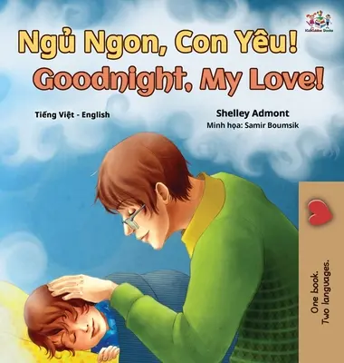 Dobrou noc, lásko moje! (Vietnamsko-anglická dvojjazyčná kniha pro děti) - Goodnight, My Love! (Vietnamese English Bilingual Book for Kids)
