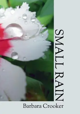 Malý déšť - Small Rain