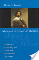 Afričané v koloniálním Mexiku: Absolutismus, křesťanství a afrokřesťanské vědomí, 1570-1640 - Africans in Colonial Mexico: Absolutism, Christianity, and Afro-Creole Consciousness, 1570-1640