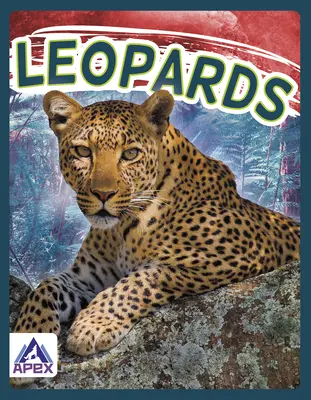 Leopardi - Leopards