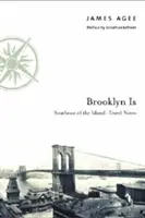 Brooklyn Is: Jihovýchod ostrova: Cestovní poznámky - Brooklyn Is: Southeast of the Island: Travel Notes