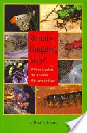 Co vás štve?: Pohled na zvířata, která rádi nenávidíme. - What's Bugging You?: A Fond Look at the Animals We Love to Hate