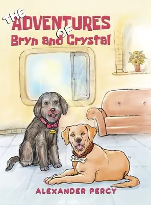 Dobrodružství Bryn a Crystal - The Adventures of Bryn and Crystal