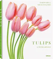 Tulipány - Tulips