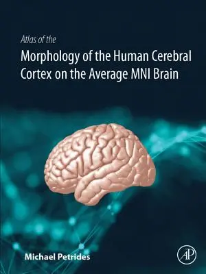 Atlas morfologie lidské mozkové kůry na průměrném mni mozku - Atlas of the Morphology of the Human Cerebral Cortex on the Average Mni Brain