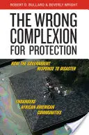 Špatná barva pleti pro ochranu: Jak vládní reakce na katastrofy ohrožuje afroamerické komunity? - The Wrong Complexion for Protection: How the Government Response to Disaster Endangers African American Communities