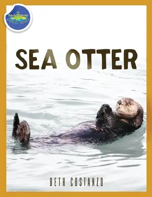 Mořská vydra ve věku 2-4 let - Sea Otter ages 2-4