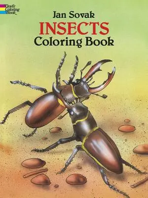 Omalovánky hmyzu - Insects Coloring Book