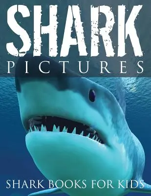 Žraločí obrázky (Žraločí knížky pro děti) - Shark Pictures (Shark Books for Kids)