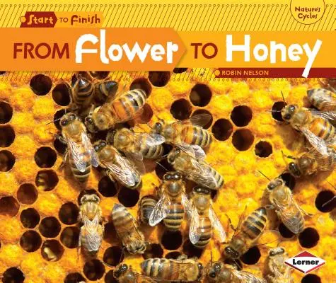 Od květiny k medu - From Flower to Honey