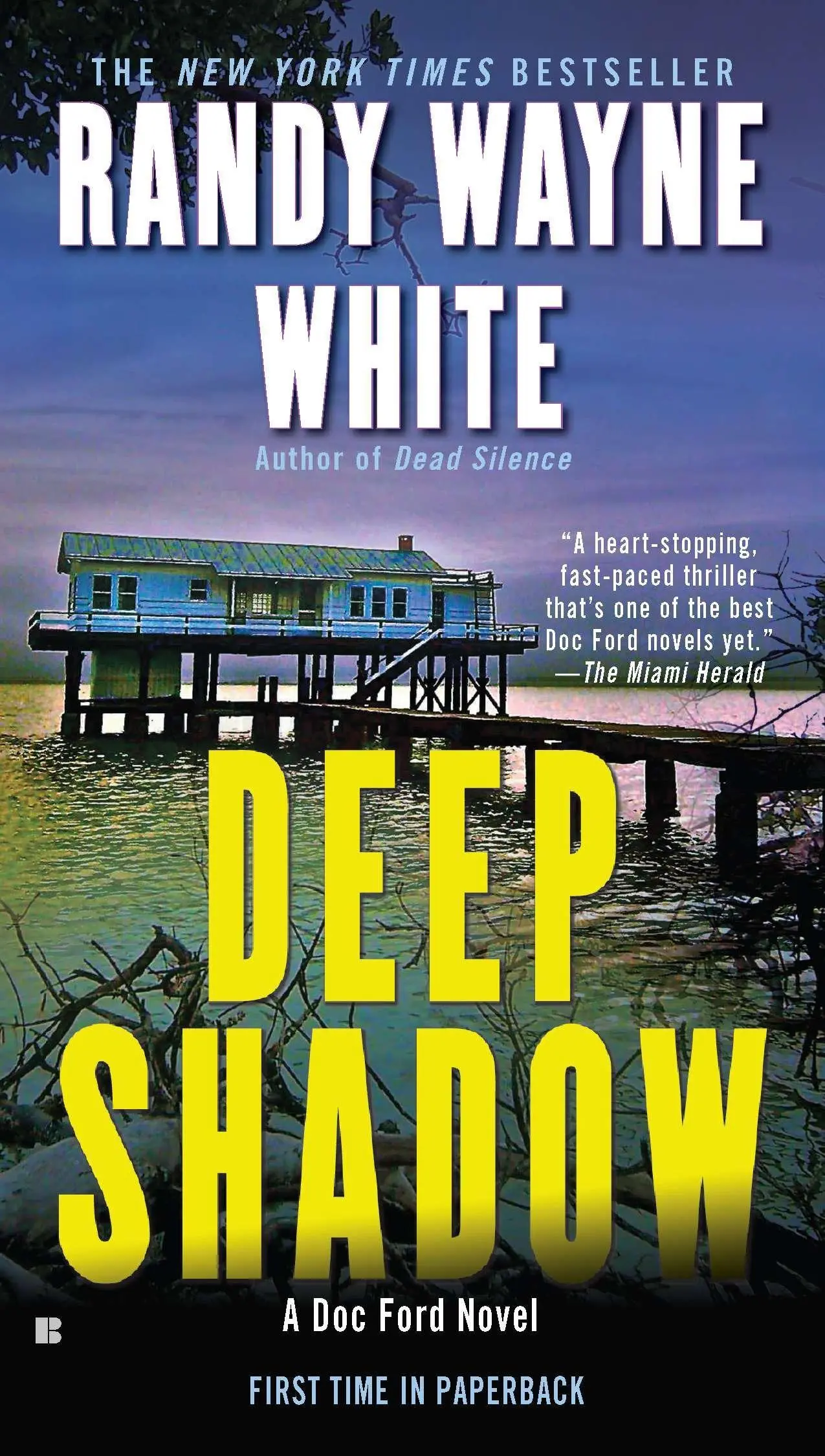 Hluboký stín - Deep Shadow