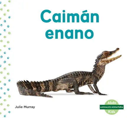 Caimn Enano (Kajman zakrslý) - Caimn Enano (Dwarf Caiman)