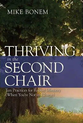 Prosperita na druhé židli: (když nejste ve vedení): Deset postupů pro solidní službu. - Thriving in the Second Chair: Ten Practices for Robust Ministry (When You're Not in Charge)