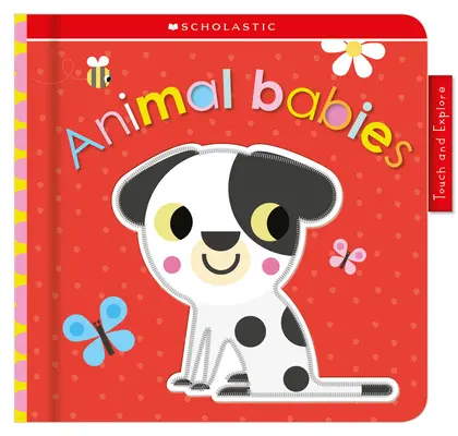 Zvířecí miminka: Scholastic Early Learners (Dotýkej se a poznávej) - Animal Babies: Scholastic Early Learners (Touch and Explore)