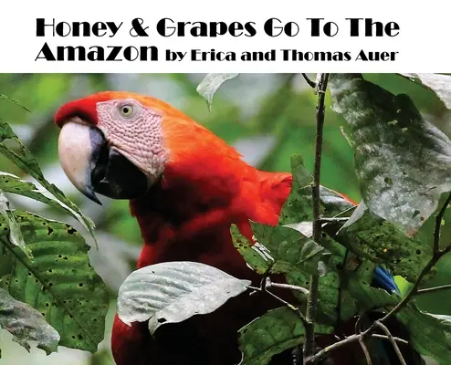 Med a hrozny do Amazonie - Honey & Grapes Go To The Amazon