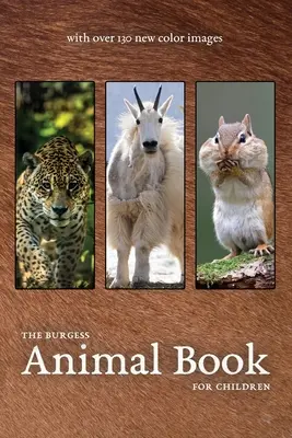 Burgessova kniha o zvířatech s novými barevnými obrázky - The Burgess Animal Book with new color images