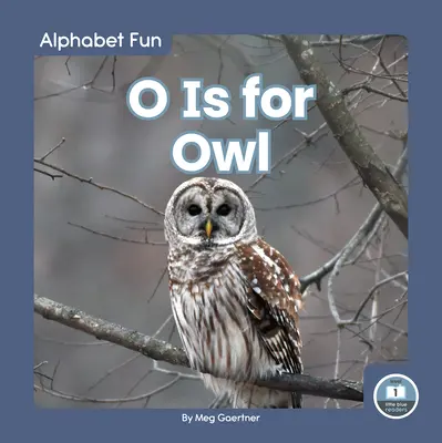 O je pro sovu - O Is for Owl