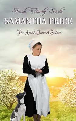 Tajemství amišské rodiny: Amišská romance - Amish Family Secrets: Amish Romance