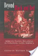 Za hranice černé a červené: Vztahy mezi Afričany a domorodci v koloniální Latinské Americe. - Beyond Black and Red: African-Native Relations in Colonial Latin America