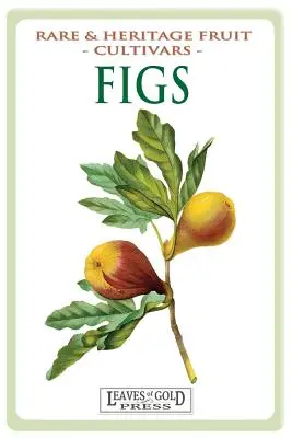 Fíky: Odrůdy a odrůdy, které se v minulosti pěstovaly v Čechách a na Moravě: Vzácné a památkové odrůdy ovoce #13 - Figs: Rare and Heritage Fruit Cultivars #13